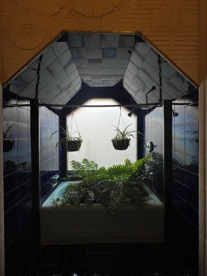 Iturbide500 Hostal 산루이스포토시주 외부 사진